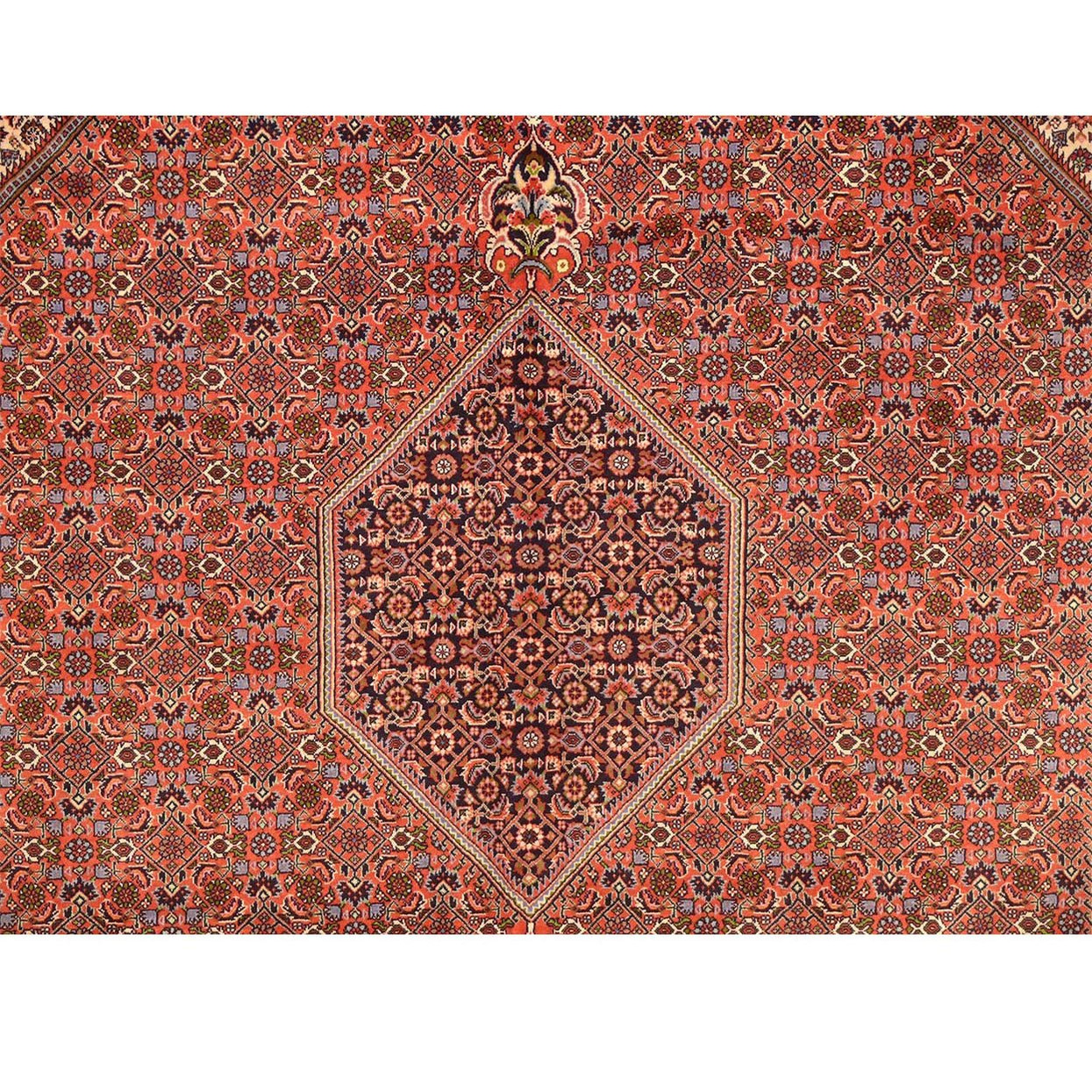 8'3" x 11'3" Persian Bijar Iron Rug