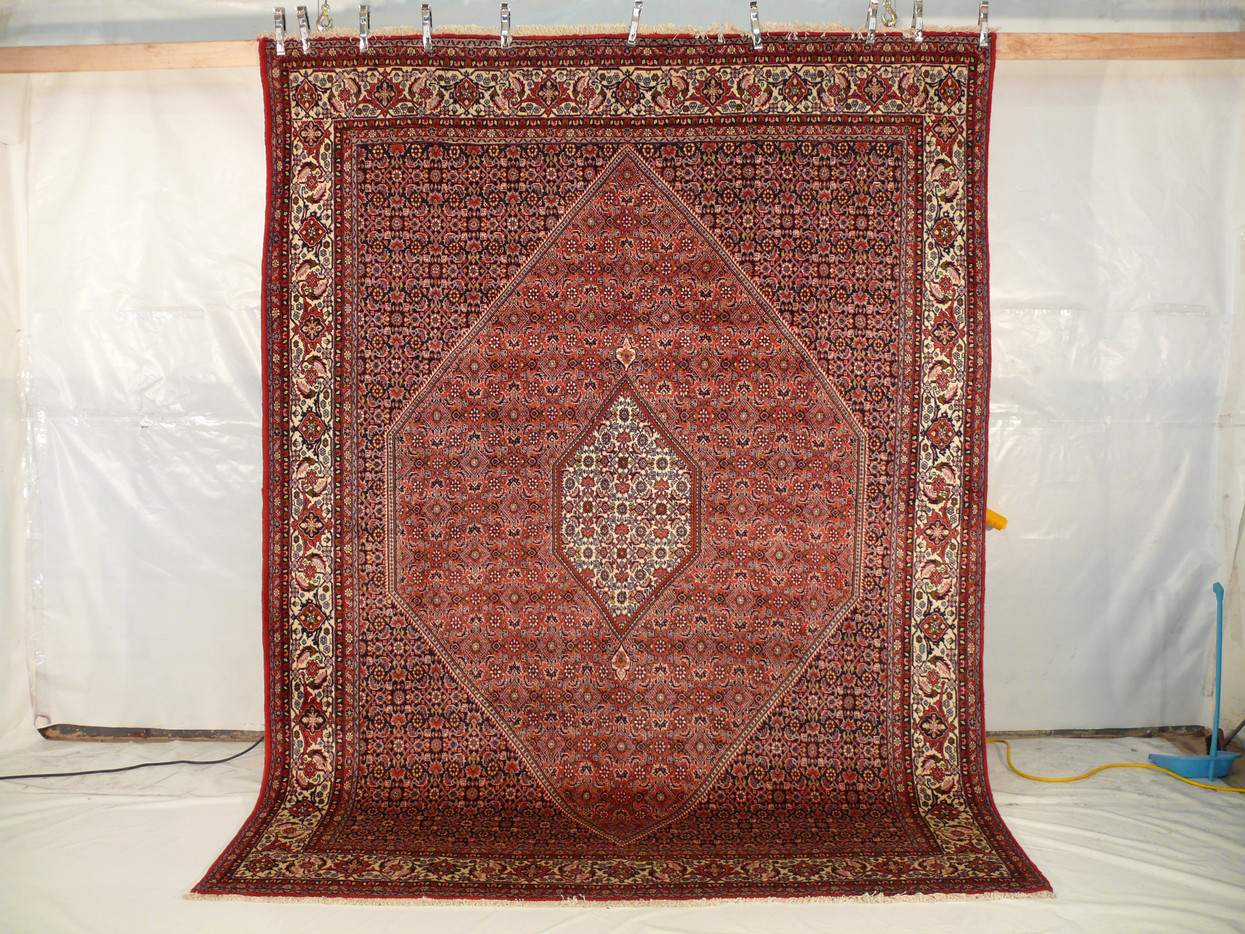 8'2" x 10'8" Persian Bijar Rug