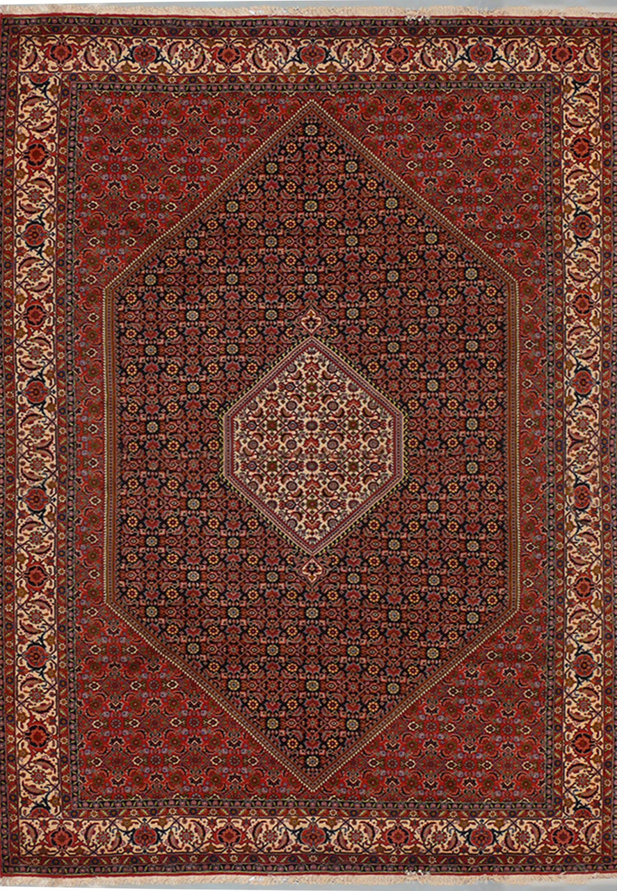 6'7" x 10 Persian Bijar Rug Mahi Design