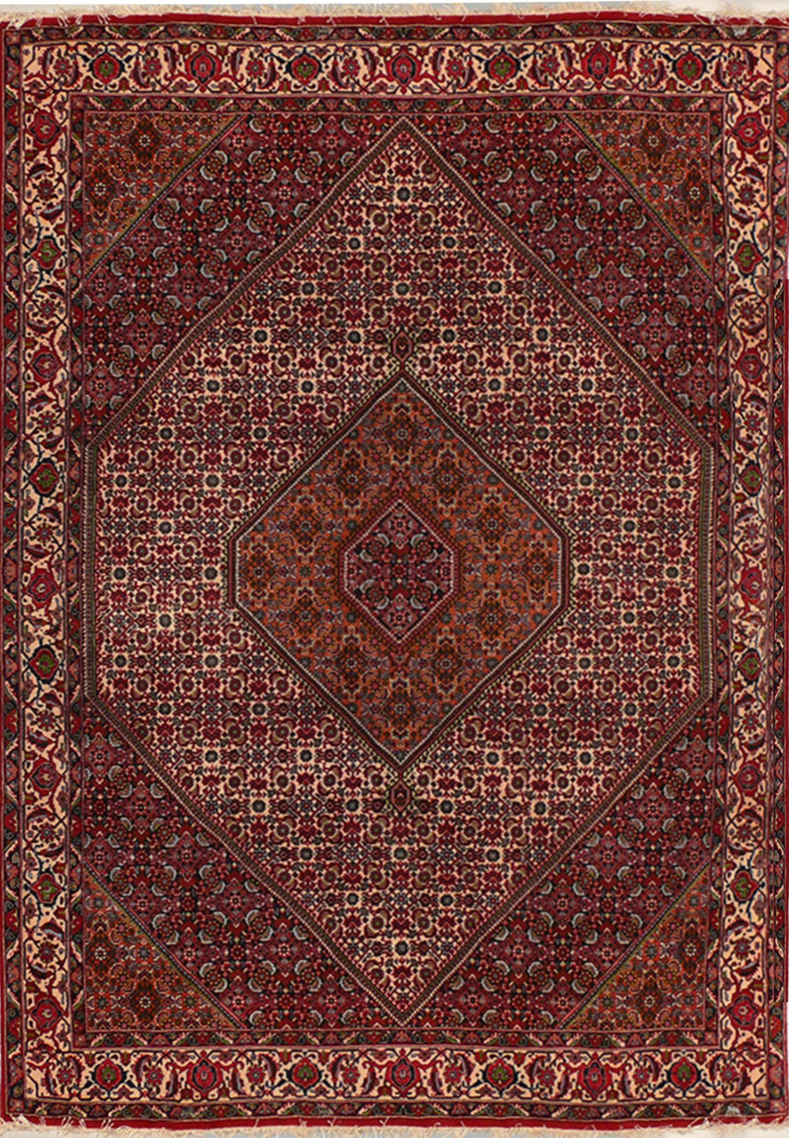 6"3" x 9'5" Persian Bijar Rug