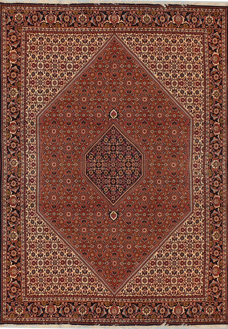 6'8 x 10 Persian Bijar Rug