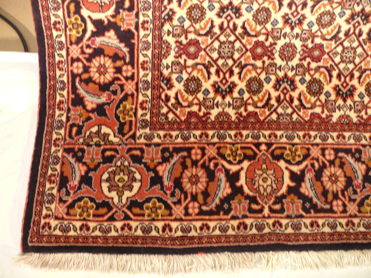 6'8 x 10 Persian Bijar Rug