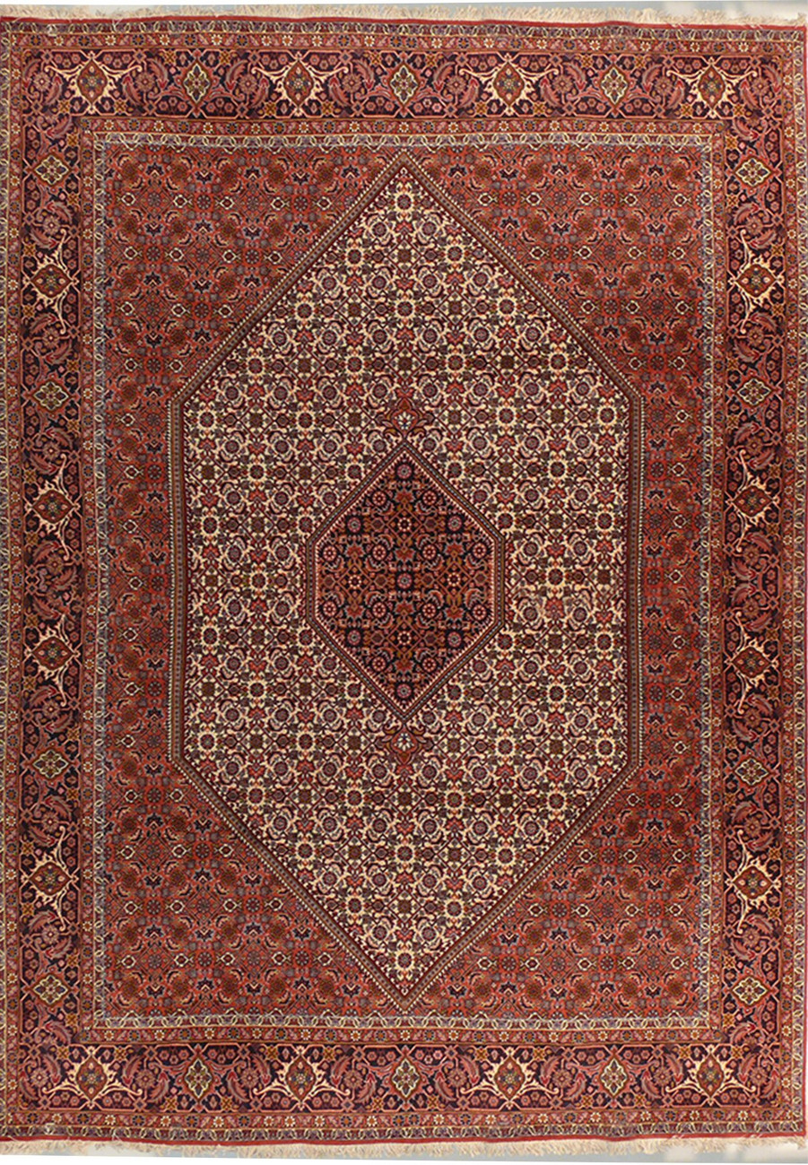 6'6" x 9'7" Persian Bijar Rug