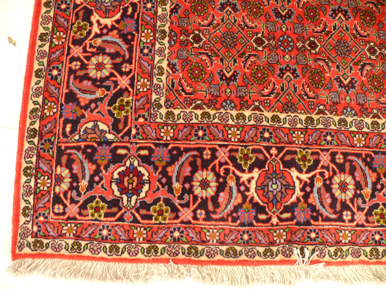 7 x 10 Persian Bijar Rug Mahi/Fish Design