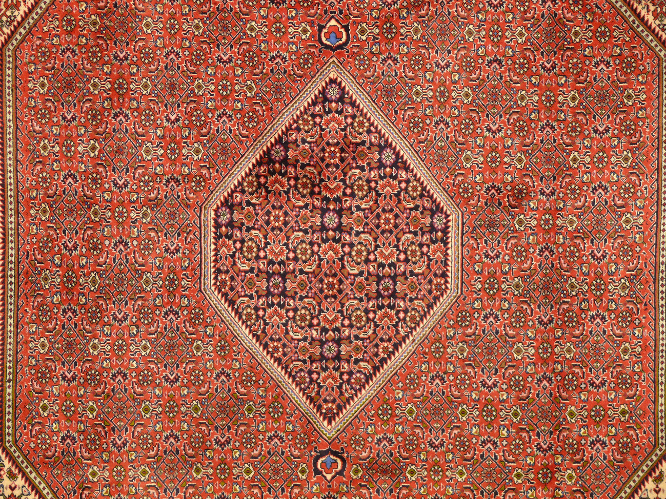 Luxurious Bijar Wool Rug - Intricate pattern and colors