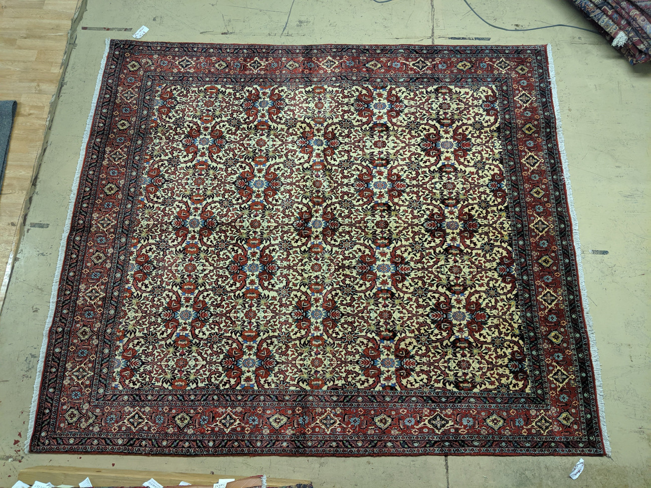 8 x 9 Persian All-Over "Iron" Duralble Ivory Bijar Rug