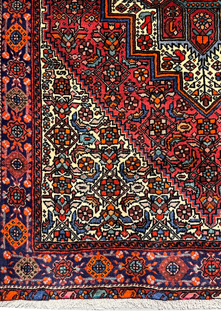 Border detail of a Persian Gholtogh rug featuring repeating rosettes, diamond motifs, navy ground, and multicolor accents framing the central field