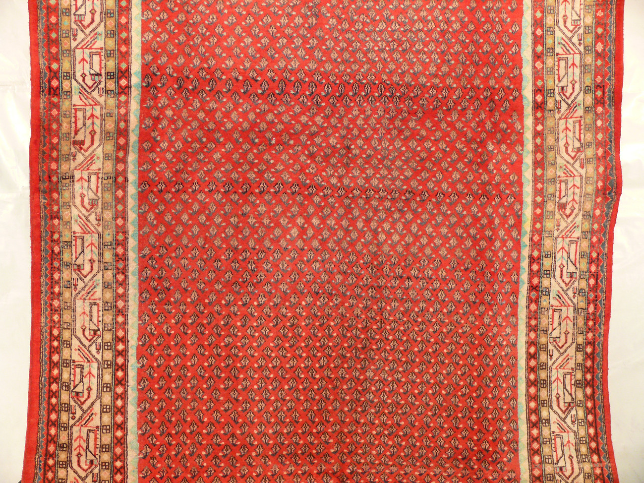 7' x 10'8" Persian Sarough Mir Rug