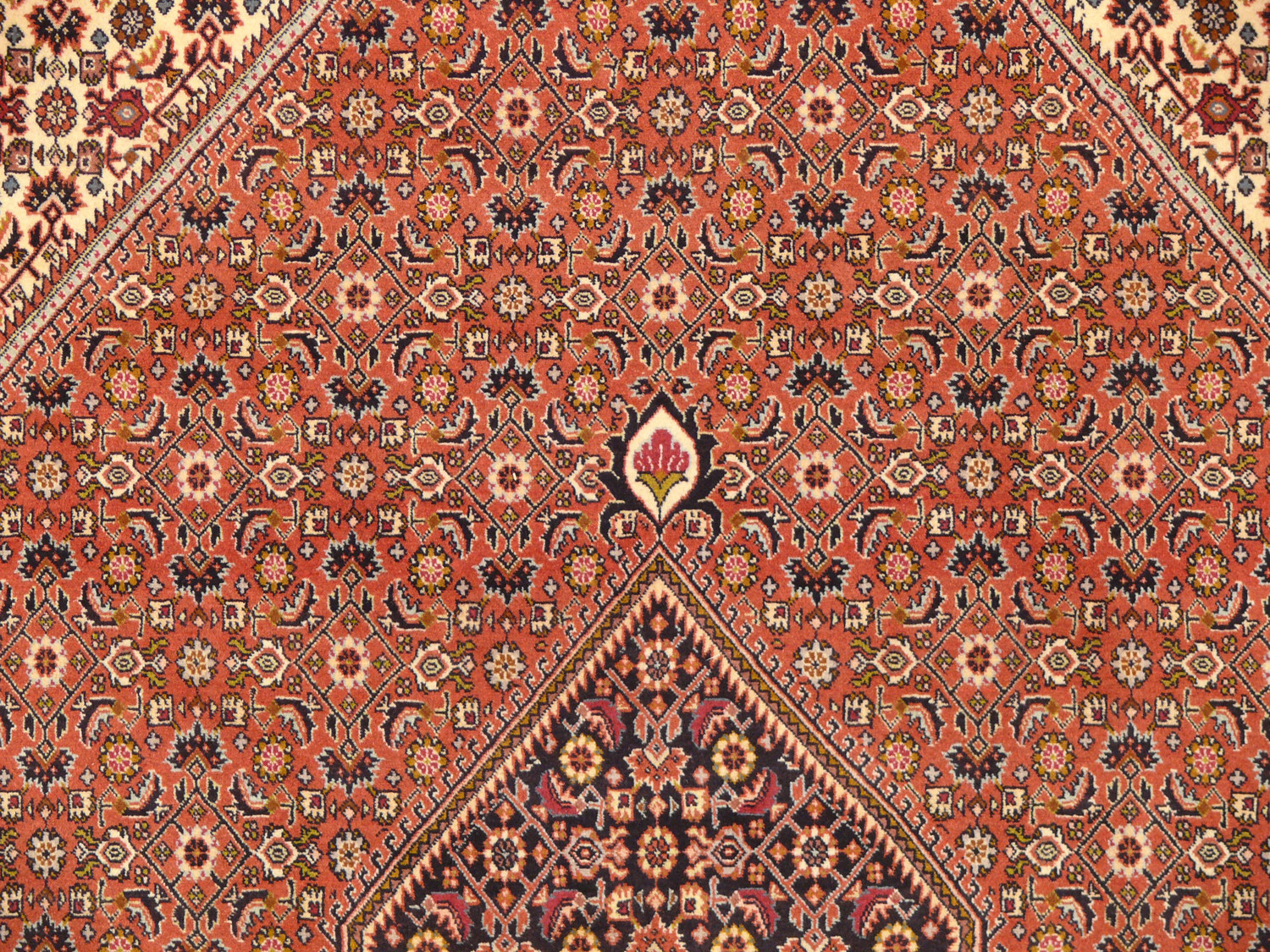 7 x 10 Persian Bijar Rug Mahi Design 1