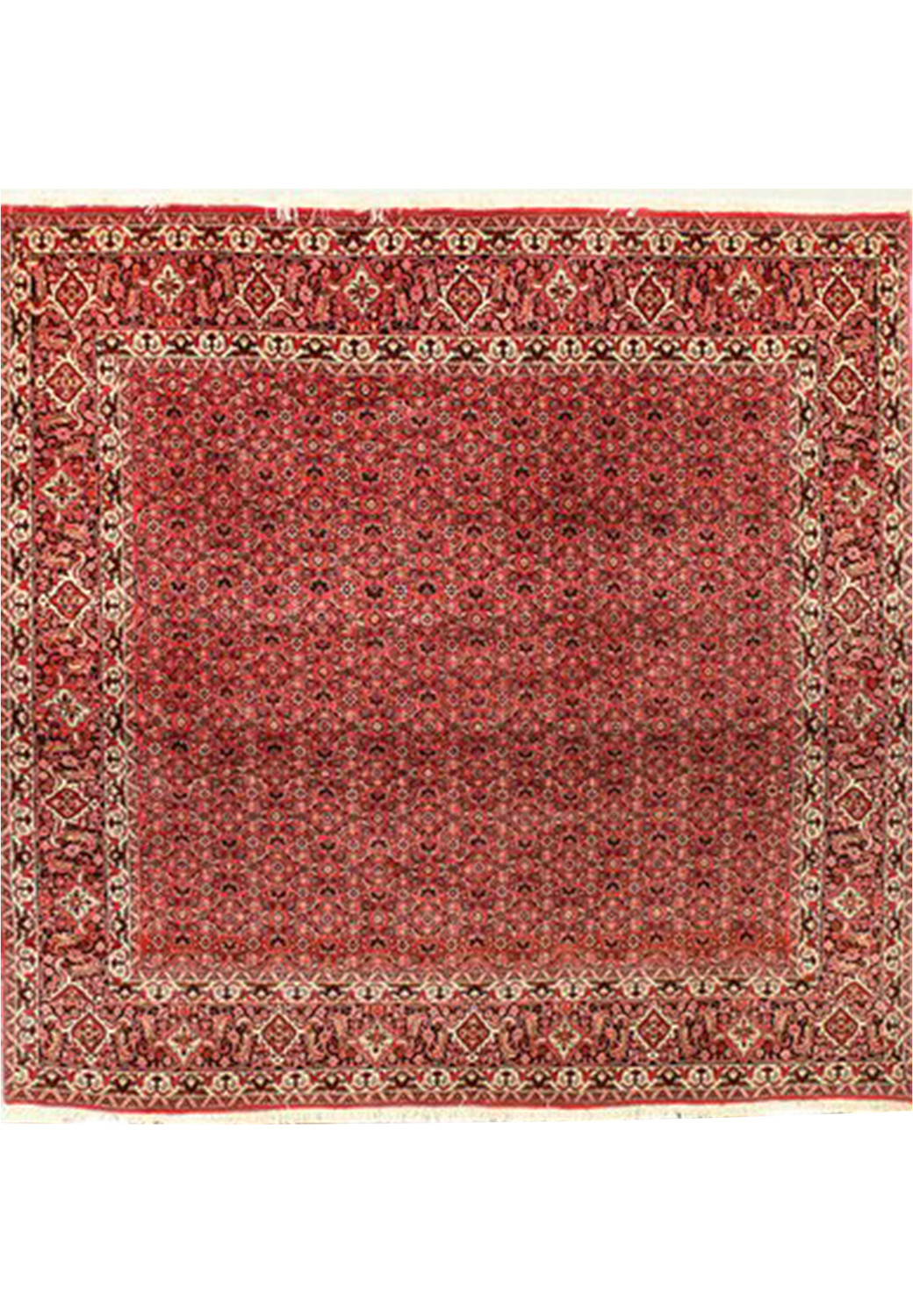 7 x 7 Persian Bijar Square Rug All-Over Design