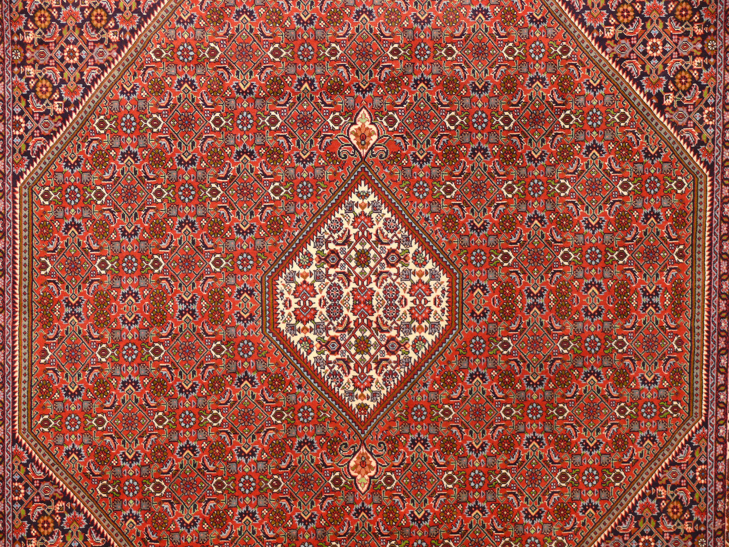 6'7 x 9'5 Persian Bijar Rug