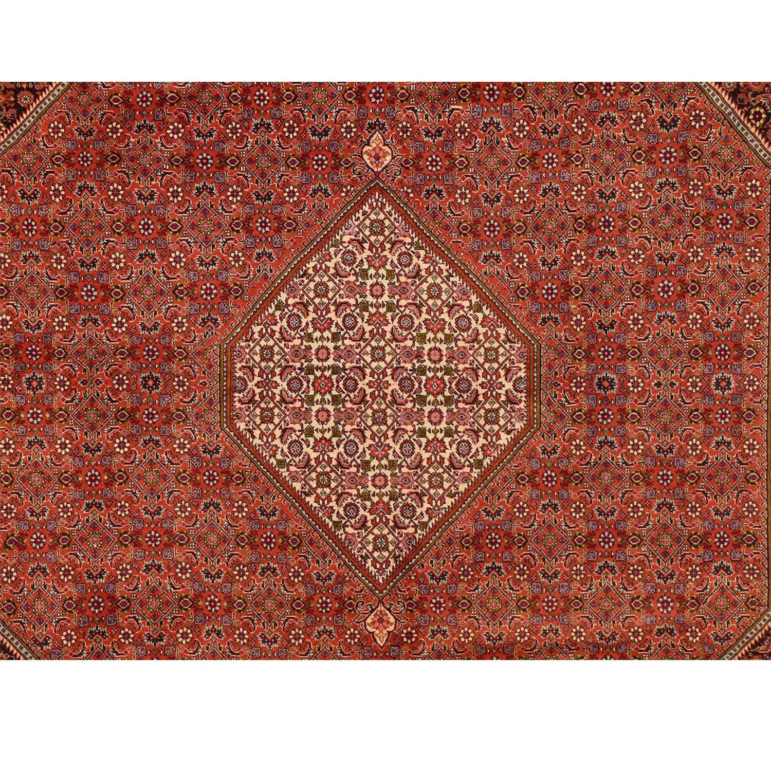 8'2 x 11'5 Persian Bijar Rug