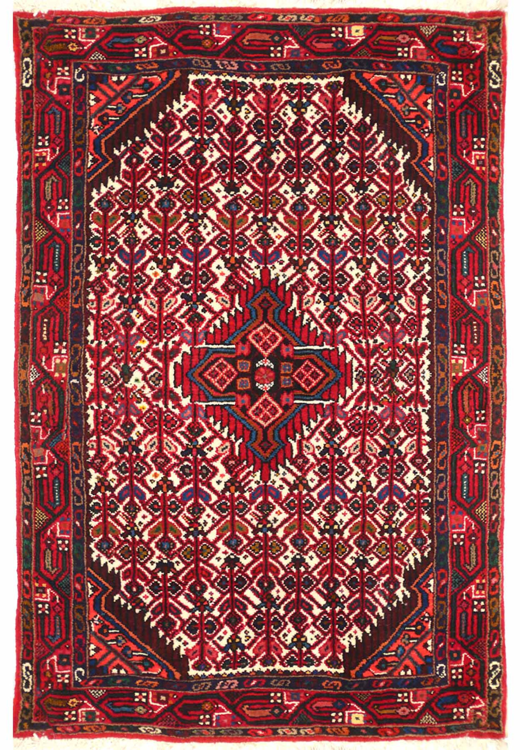 3 x 5 Persian Hamedan Rug | Clearance