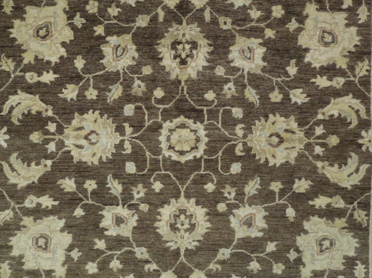 6 x 9 Transitional Oriental Chobi Peshawar Rug