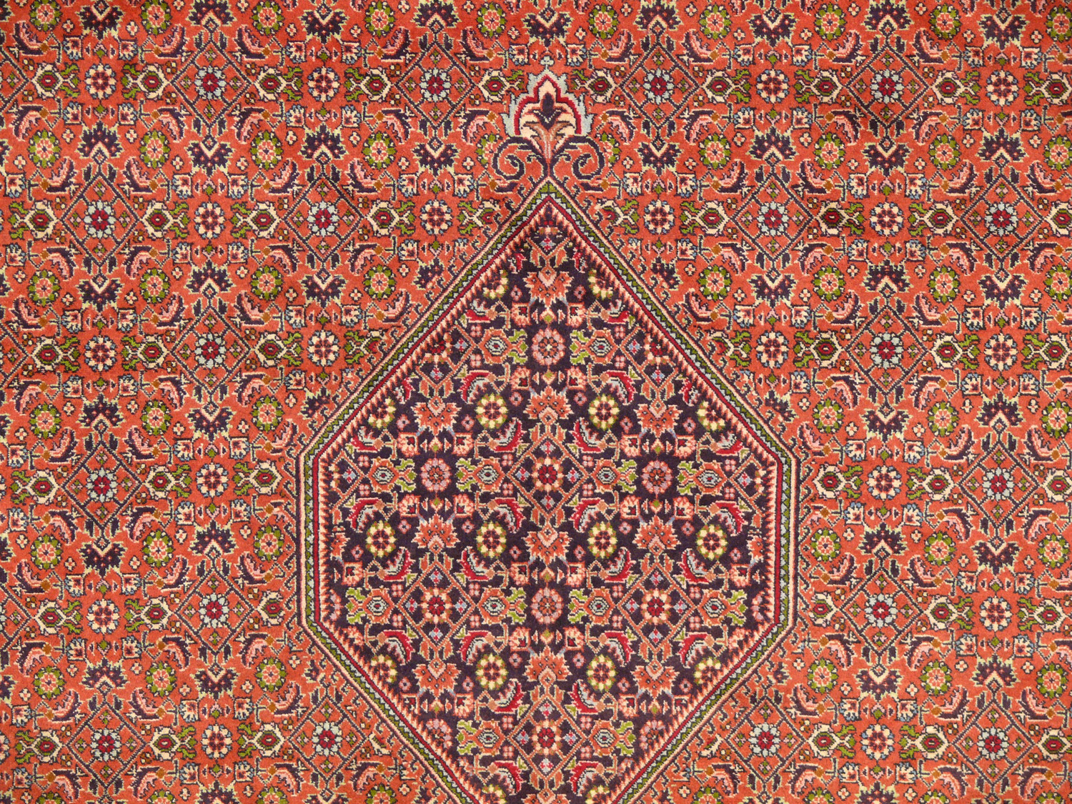 8'2 x 11'5 Persian Bijar Rug 1 Indulge in Luxury with Bijar Rugs - Discover Durable Handwoven Masterpieces with Timeless Beauty. Shop Now for Exquisite Bijar Rugs to Elevate Your Home Décor.