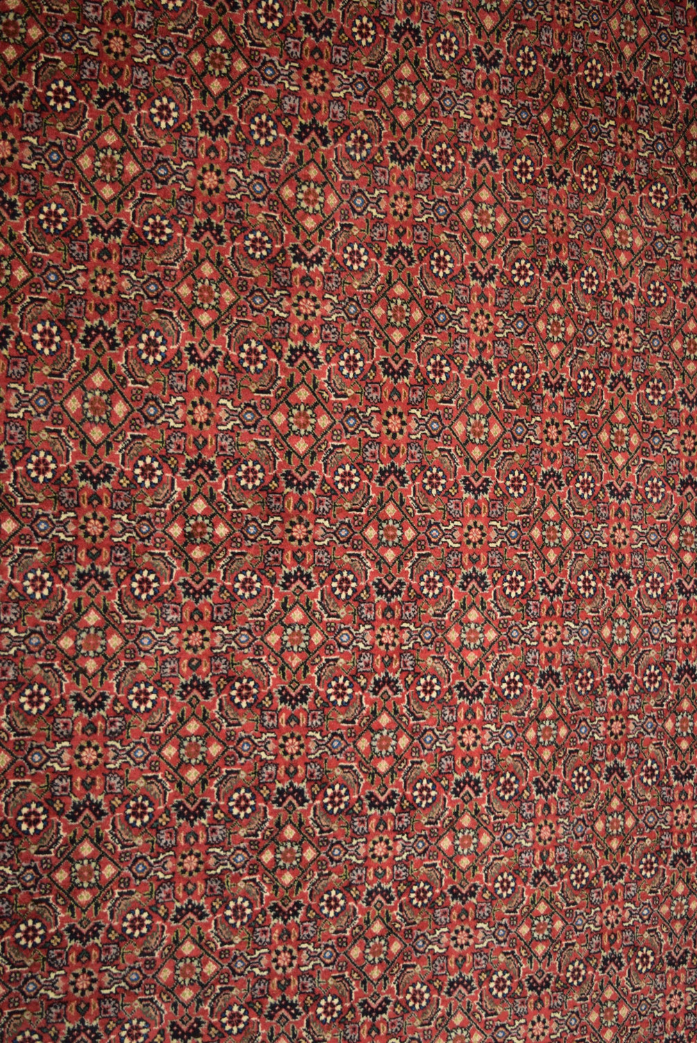 6'6" x 9'7" Persian Bijar Rug All Over Design