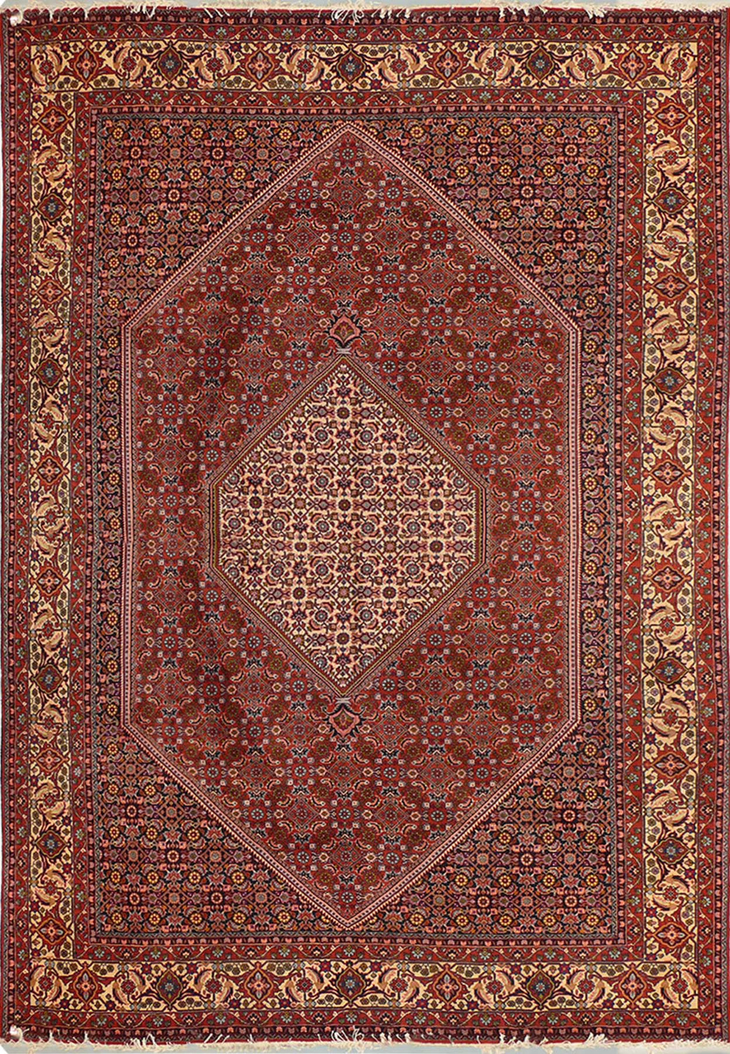8'3 x 11'5 Persian Bijar Rug - Full view of rug, showcasing intricate design and vibrant colors
