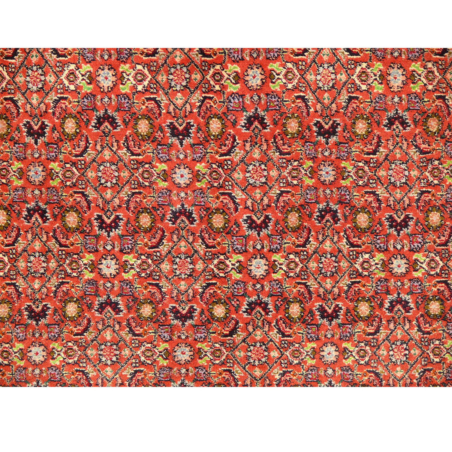 8'2 x 10'4 Persian Bijar All Over Design Rug