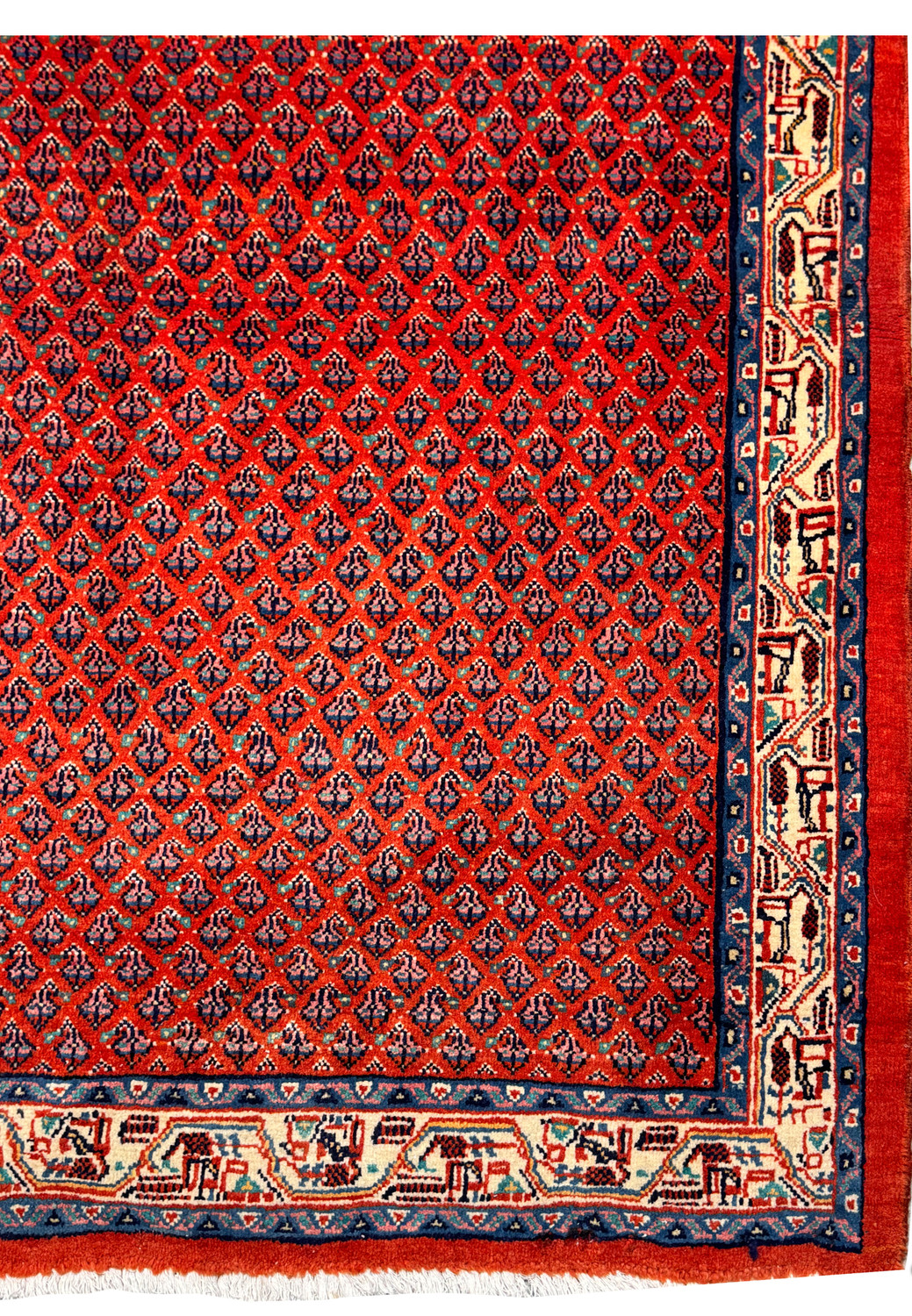 Detailed edge view of the Sarough Mir Rug, showing the precision of the border patterns against the all-over design