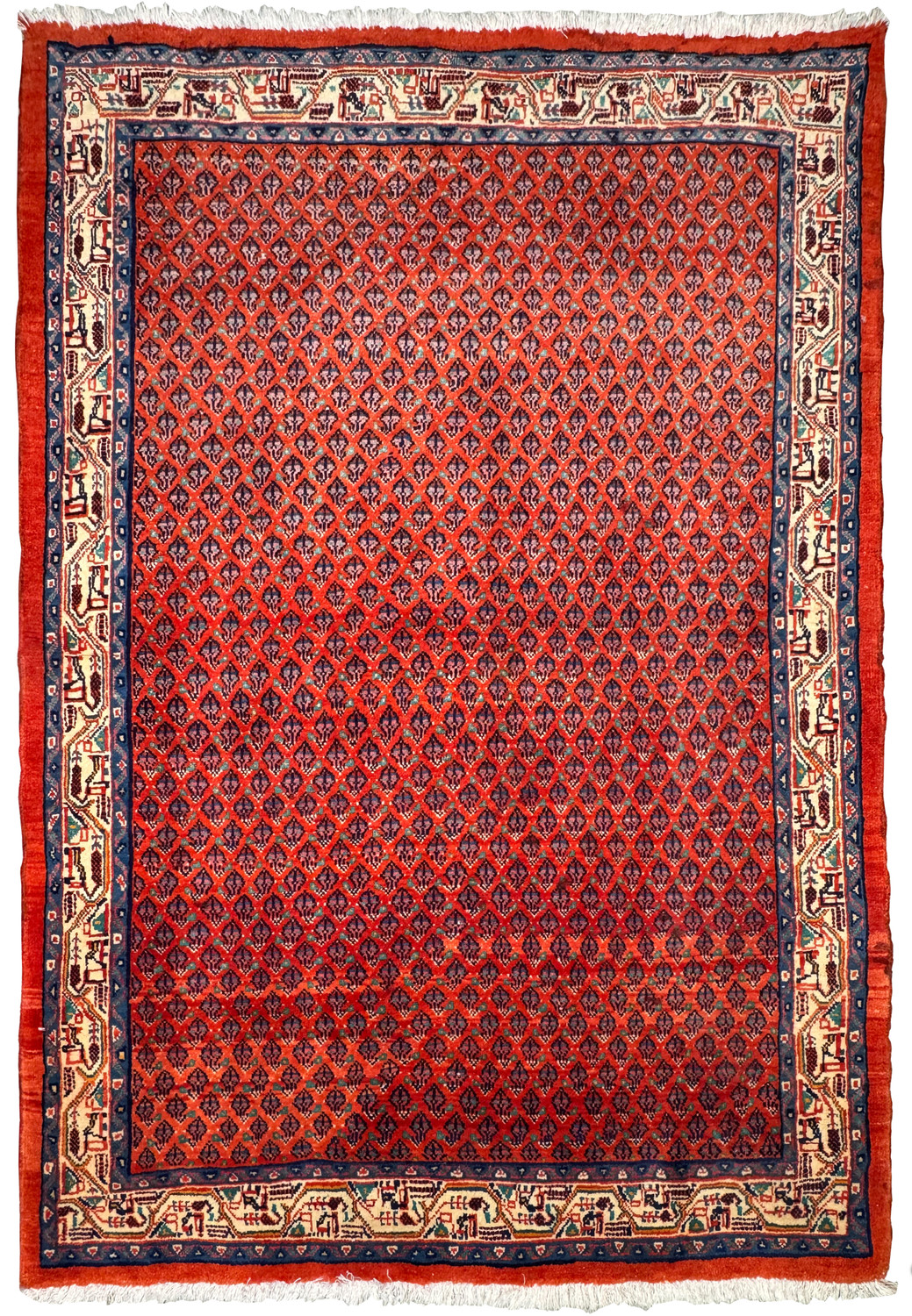 Overhead view of a 3'8 x 5'2 Sarough Mir Rug with a dense all-over pattern in vibrant red and navy blue, framed by a detailed border