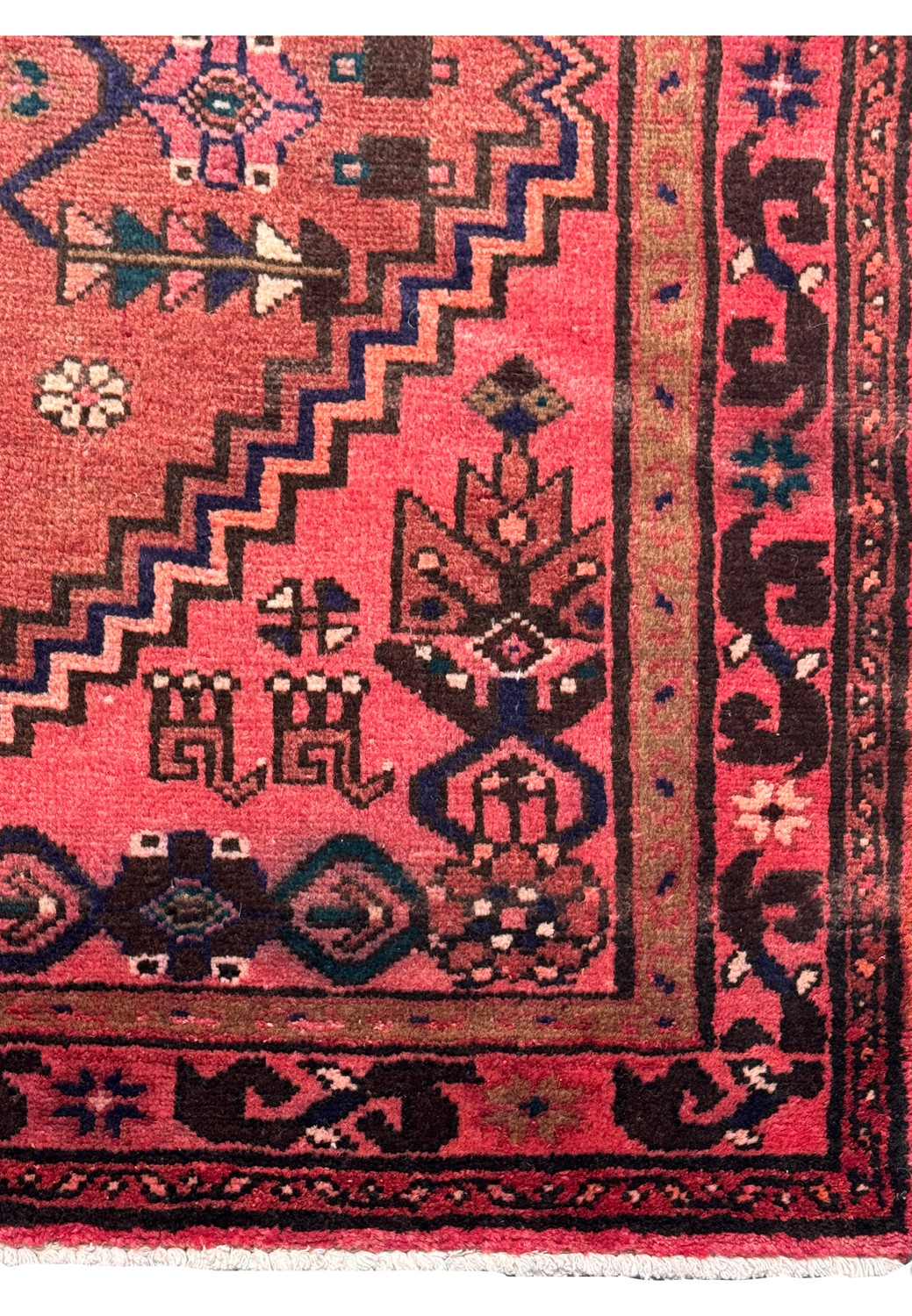 Corner detail of the Persian Baluch rug with geometric border and fringe, highlighting the handcrafted quality