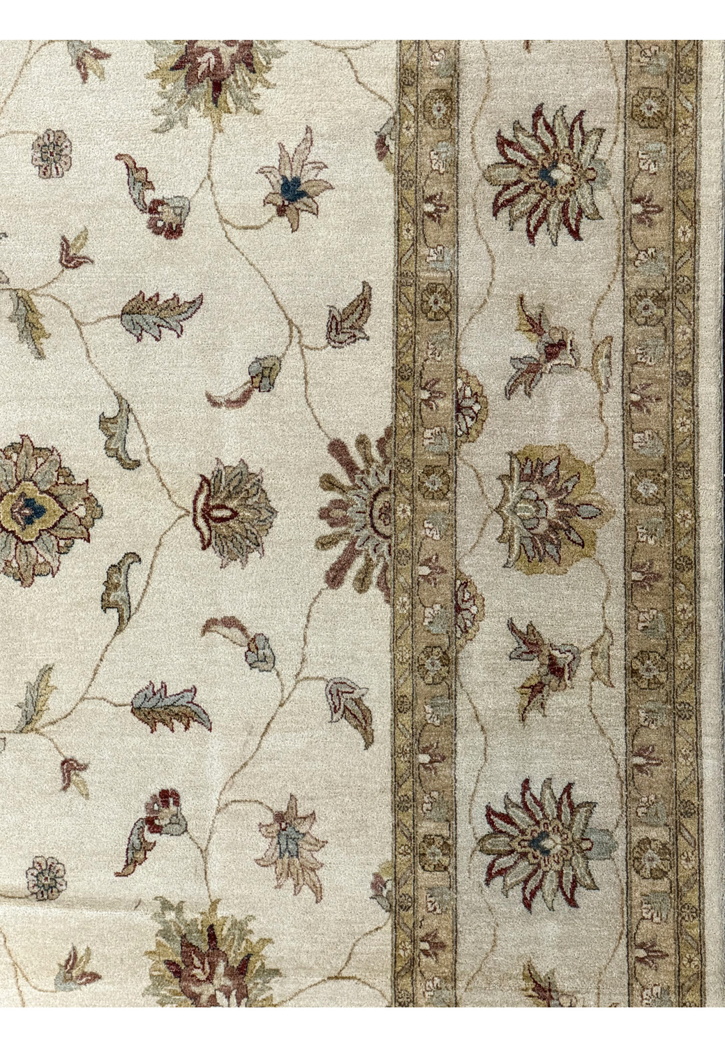 Close-up of the border detail highlighting the rug's intricate edging and color palette.
