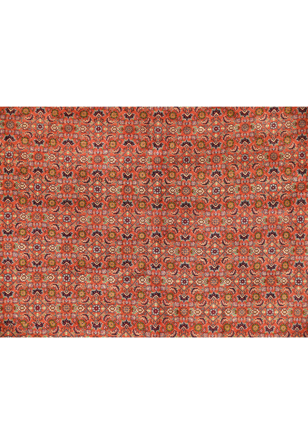 Zoomed into the all over design patterns, of this 8x11 Persian Bidjar Rug