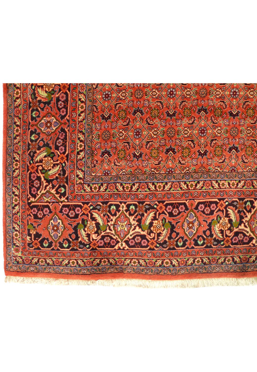 Detailed view of the Persian Bijar Rug's elaborate border with cream and navy accents