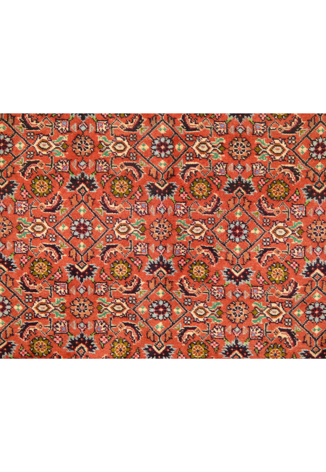 Angle view of the Persian Bijar Rug, revealing the texture and thickness of the weave