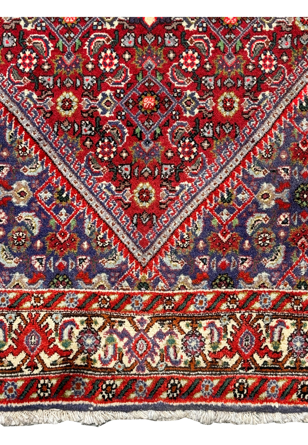 A corner view of a Persian Bijar rug highlighting the border designs and fringe. Colors: Navy blue, crimson red, ivory, forest green, beige, light blue, black, orange, pink.