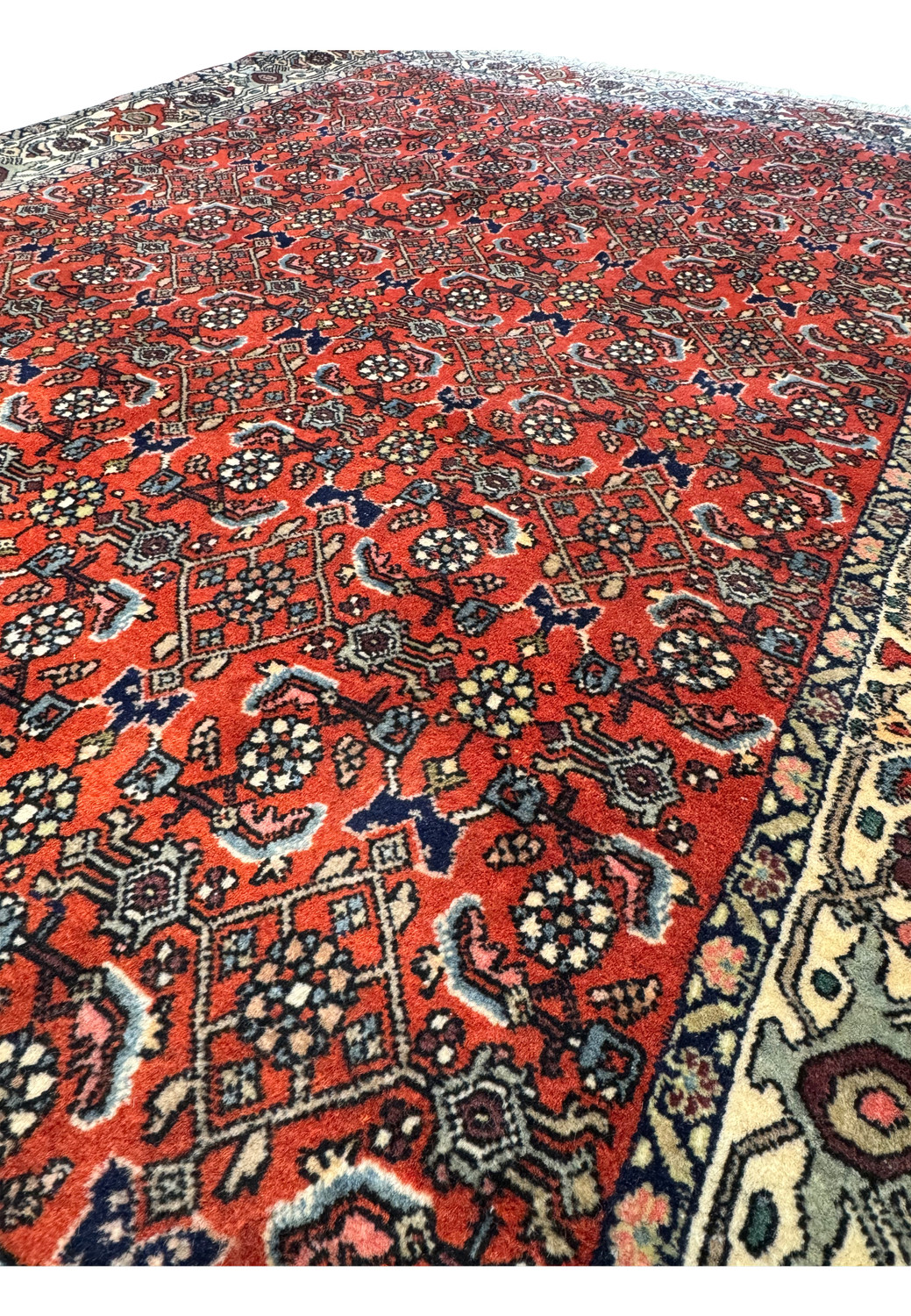 A side angle of the Persian Bijar rug, emphasizing the depth of the pile and the vibrancy of the red hue.
