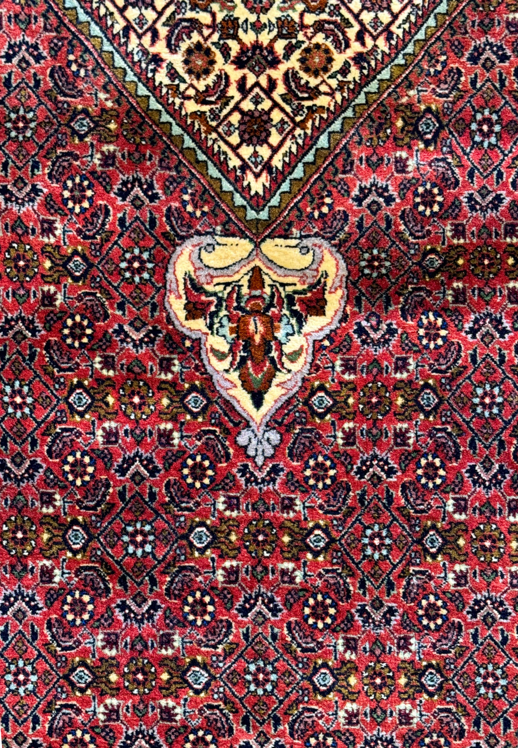Overhead view of the Persian Bijar rug's central medallion surrounded by a detailed pattern and bordered by an ornate cream and navy frame