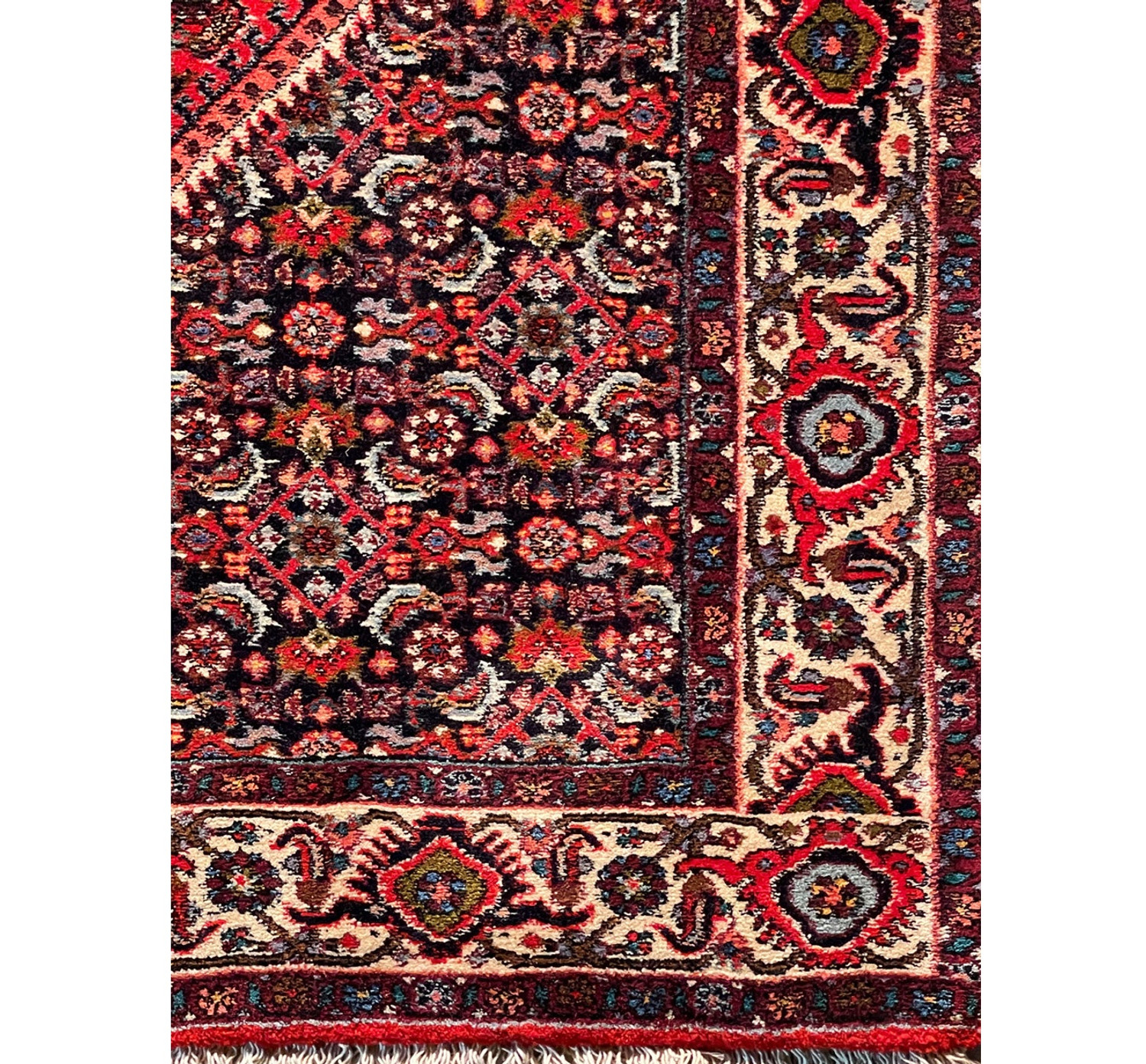 Perspective view of the Persian Bijar rug, illustrating the depth of the design and the plush pile.