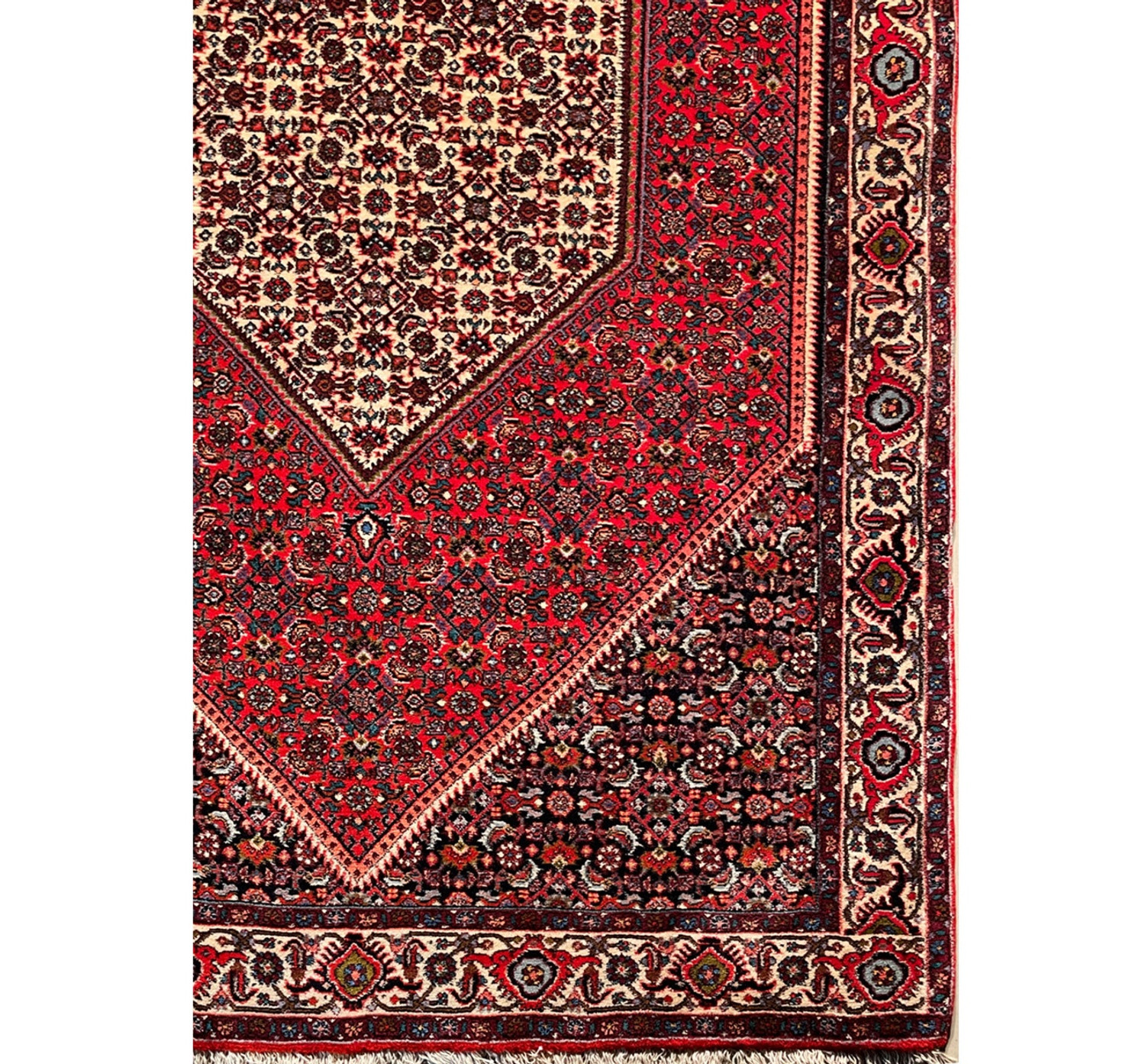 Detailed view of the Persian Bijar rug's border and fringe, showcasing the fine patterns and color variations.