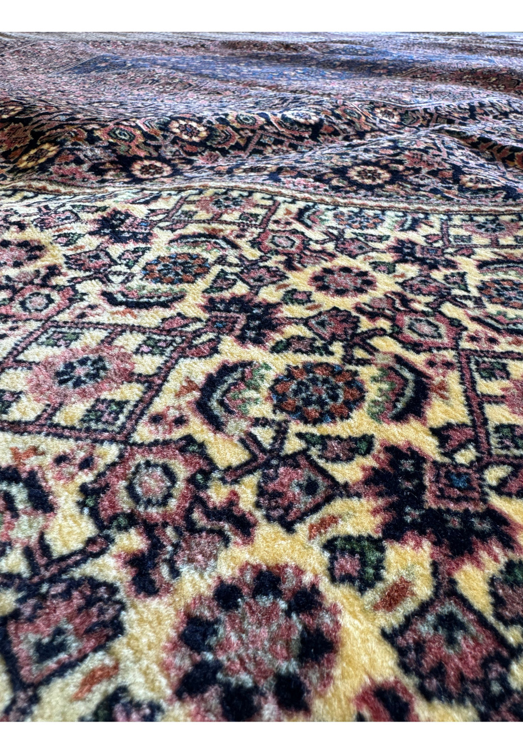 "Broad view of a Bijar Persian rug lying flat, illustrating the extensive and detailed craftsmanship. The rug's field is adorned with elaborate herati patterns and surrounded by multiple borders that feature a succession of floral and geometric shapes, woven in a color palette of deep reds, blues, gold, and cream