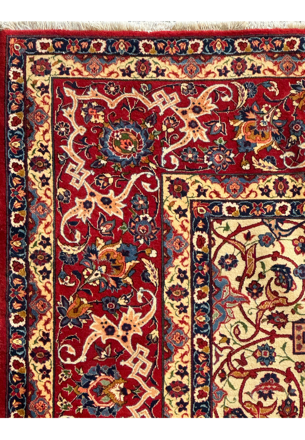 Zoomed-in view of the rug's edge, displaying the detailed border patterns and the quality of the weave.