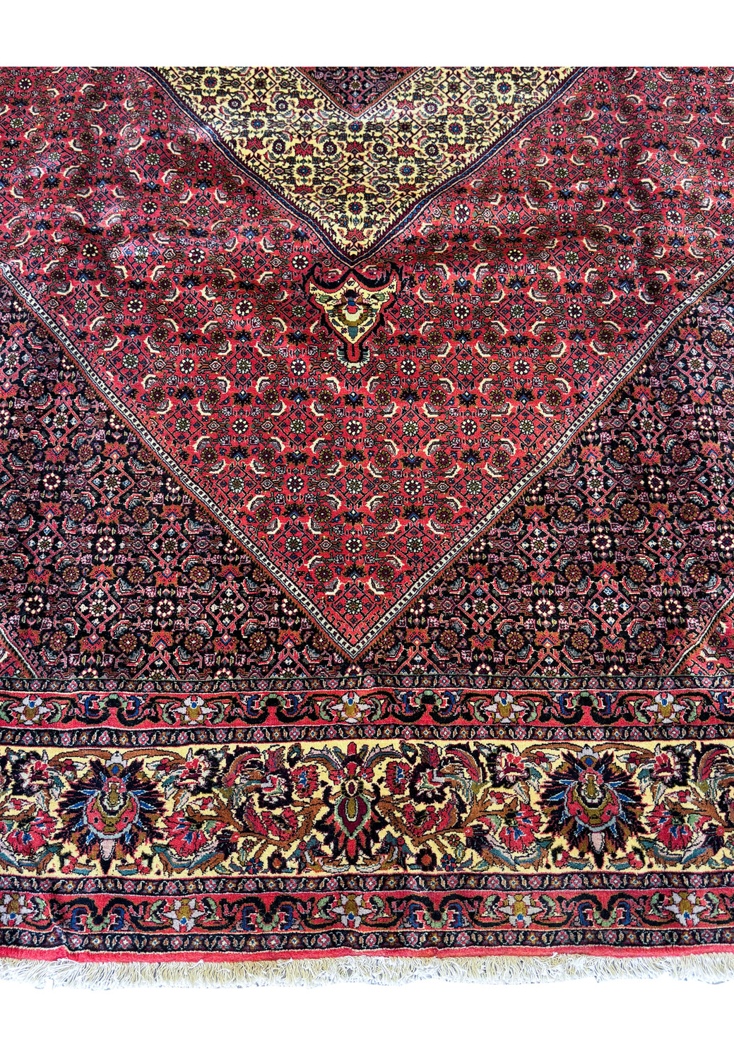 Overhead close-up of a section of the Persian Bijar Rug, with a focus on the detailed floral and geometric designs