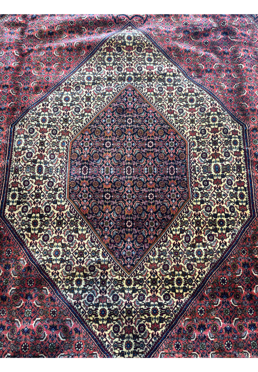 Partially folded Bijar Rug, displaying the thickness and sturdy construction of the weave