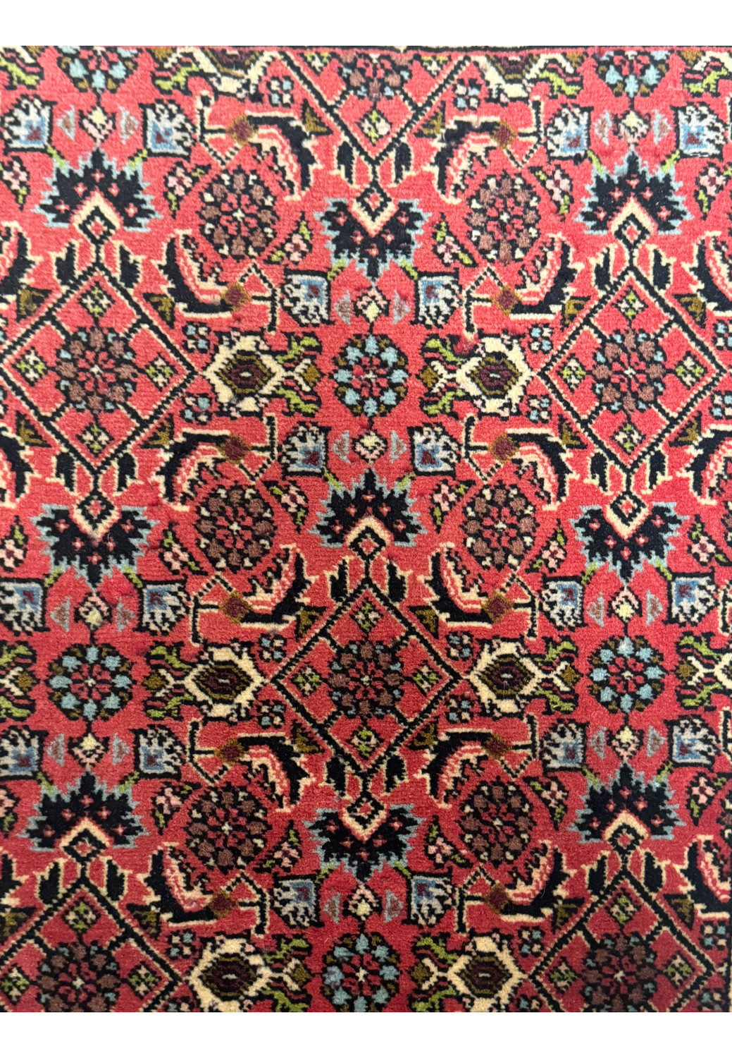 A small Persian Bijar Baby Rug displayed flat, exhibiting the full design with its elaborate central medallion and corner floral patterns on a rich red background.