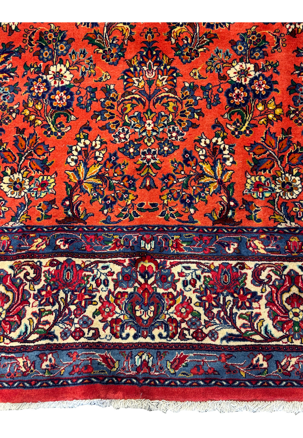 Persian Sarough rug lower edge showing ivory floral border, coral field, and wool fringe, handmade with fine cotton foundation.