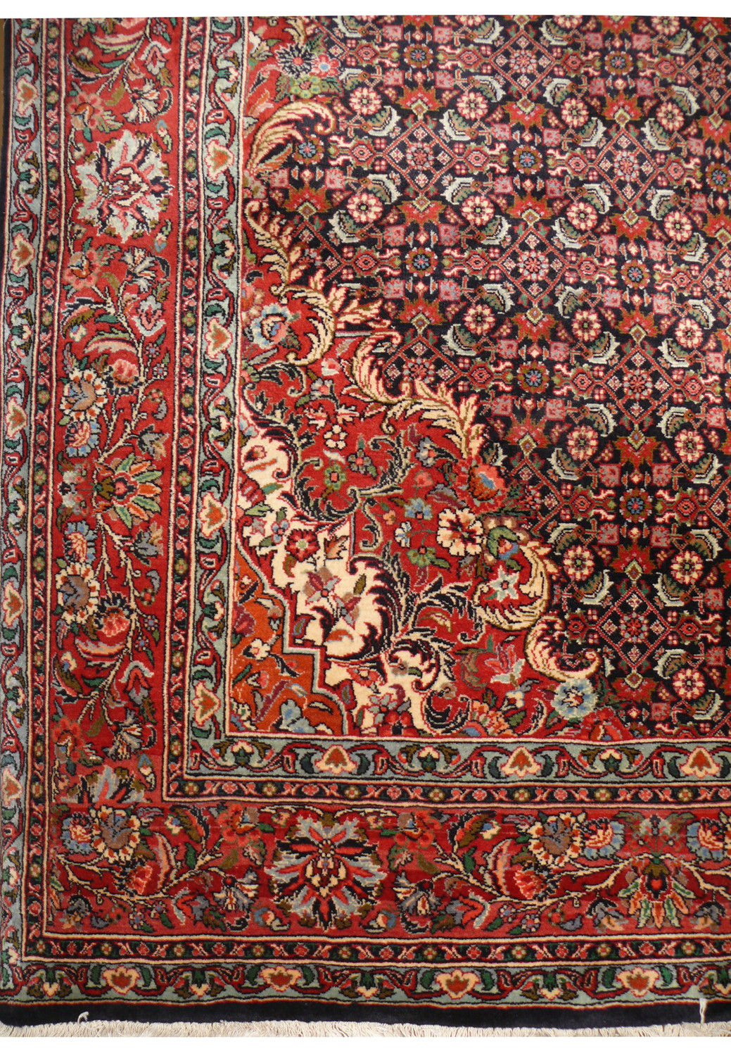 Border close-up with red ground and oversized palmettes in ivory and blue