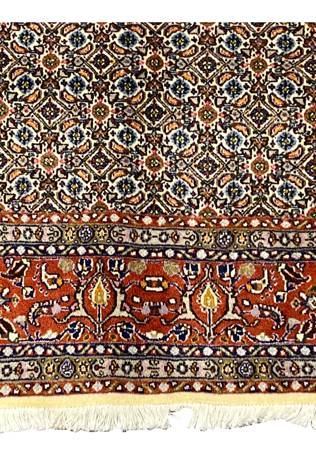 Bottom edge with ivory fringes and rust red border adorned with flowers.