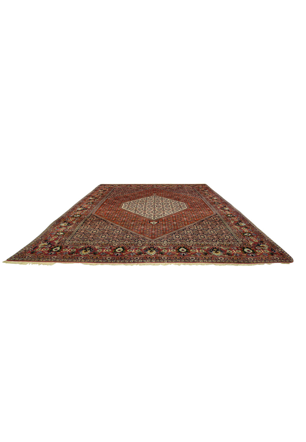 Laid down view of Bijar Persian Iron Rug highlighting geometric medallion, floral lattice, and detailed border