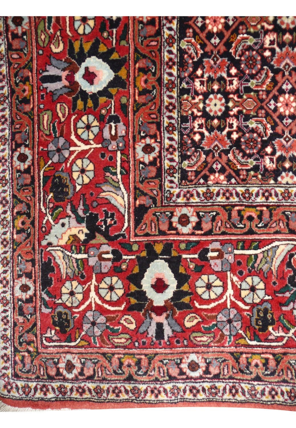 Border detail of 6'9 x 9'4 Bijar Persian Rug with navy floral vines, rosettes, and repeating palmettes