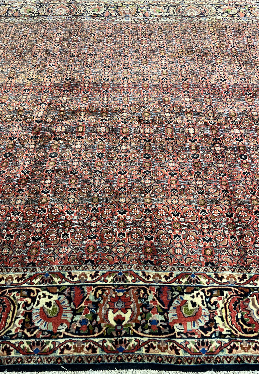 Close view of central allover field pattern of Persian Bijar Rug