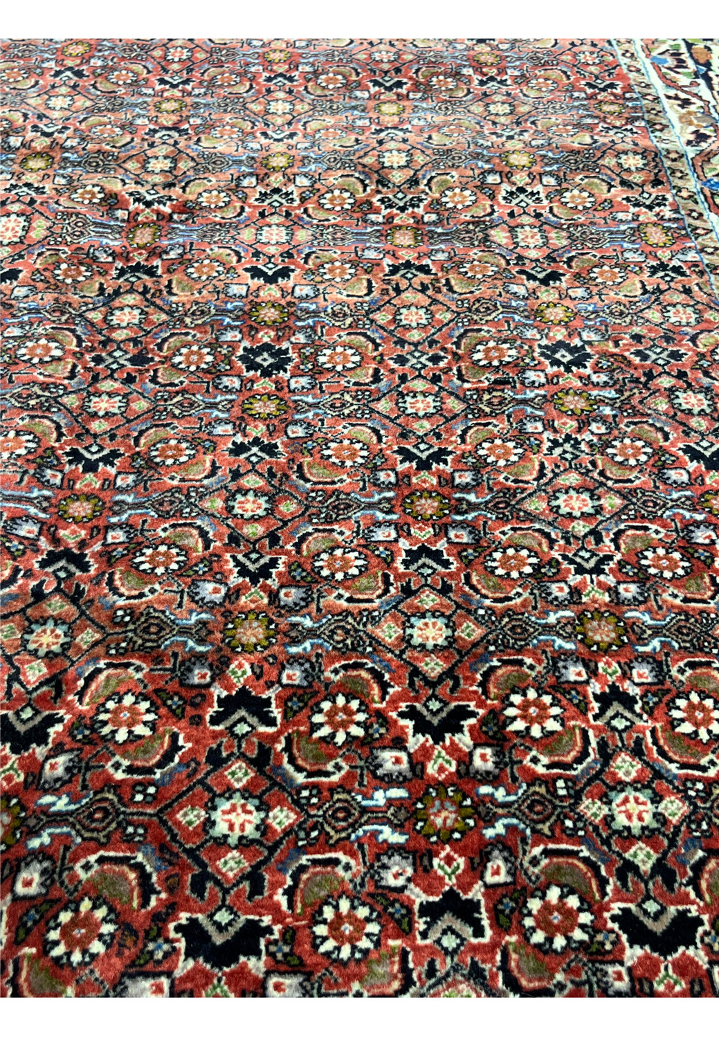 full pattern focus showing repeating Herati design in rust and navy tones