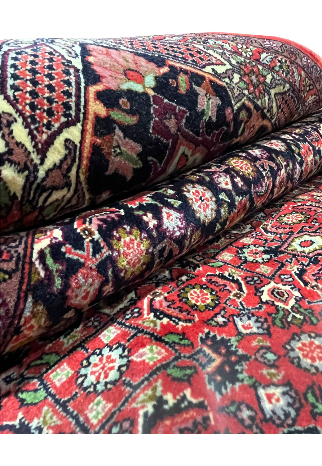 border of 10x13 Bijar Persian rug showing navy background with golden floral vines