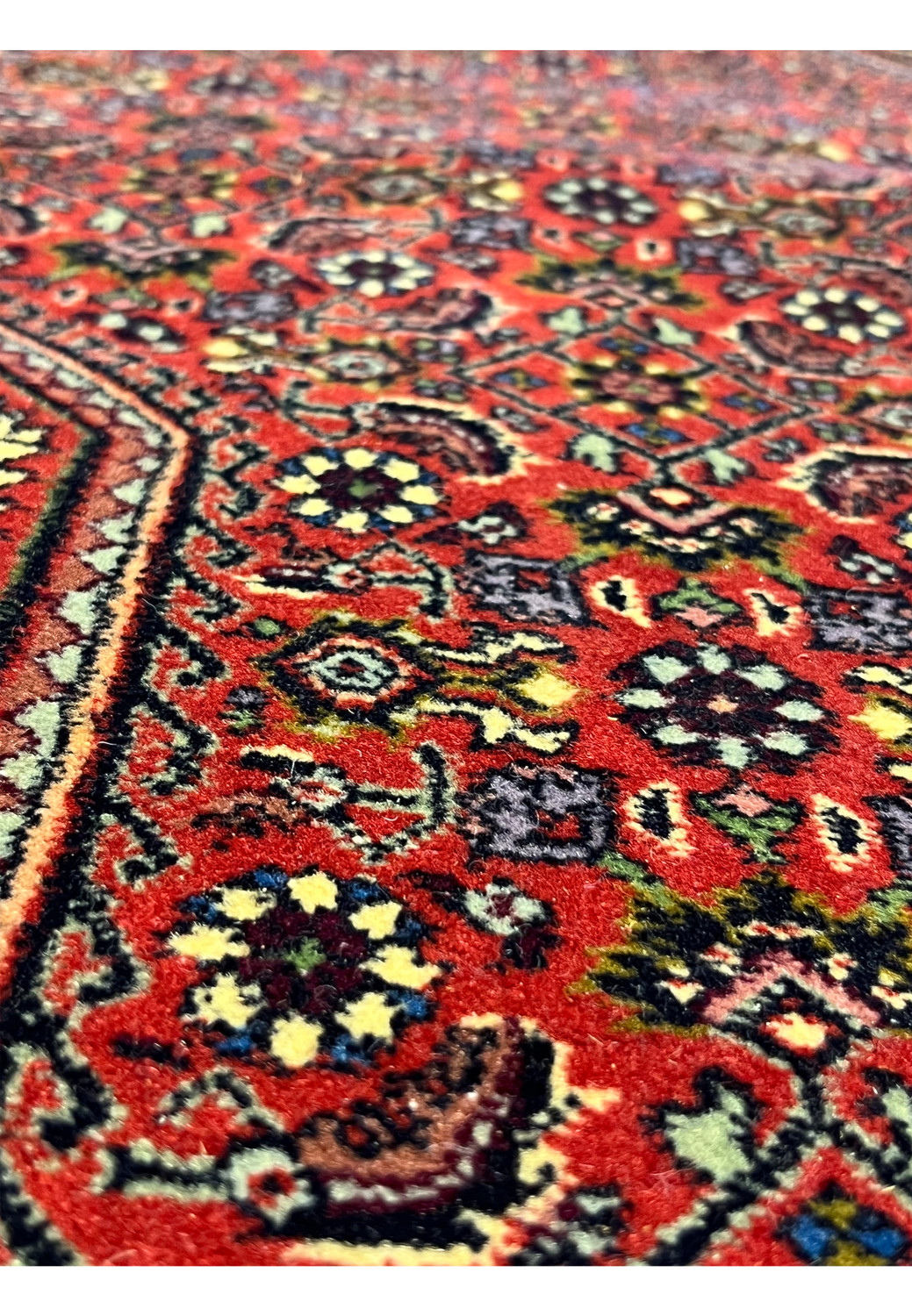 Detailed floral and geometric motif close up on luxury 10x13 Persian Bijar rug