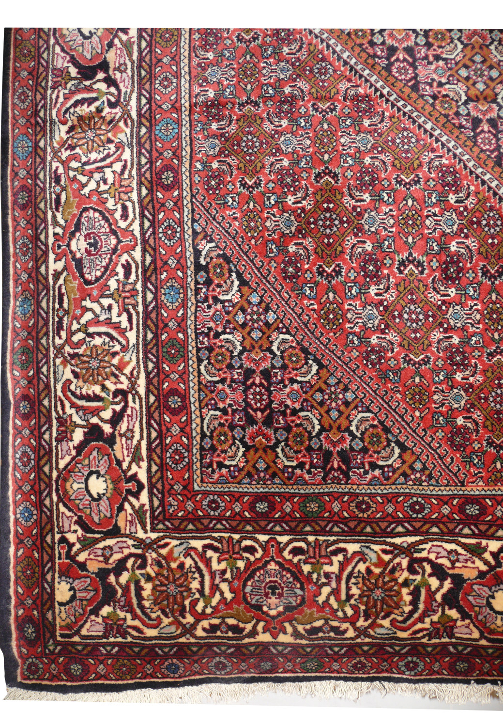 Persian Bijar rug border featuring floral motifs in red, ivory, and dark navy