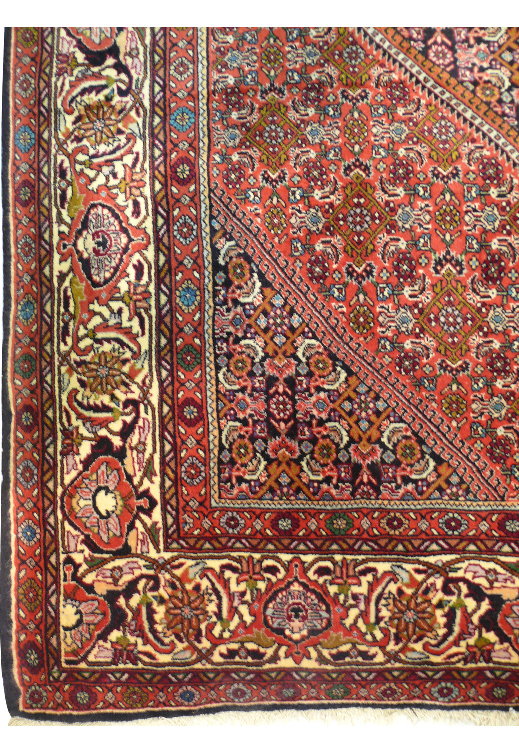 Persian Bijar rug border featuring floral motifs in red, ivory, and dark navy